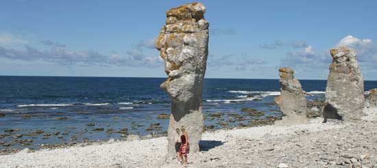 Raukarna på Fårö är ett fascinerande utflyktsmål som kan ses direkt från bilfönstret.