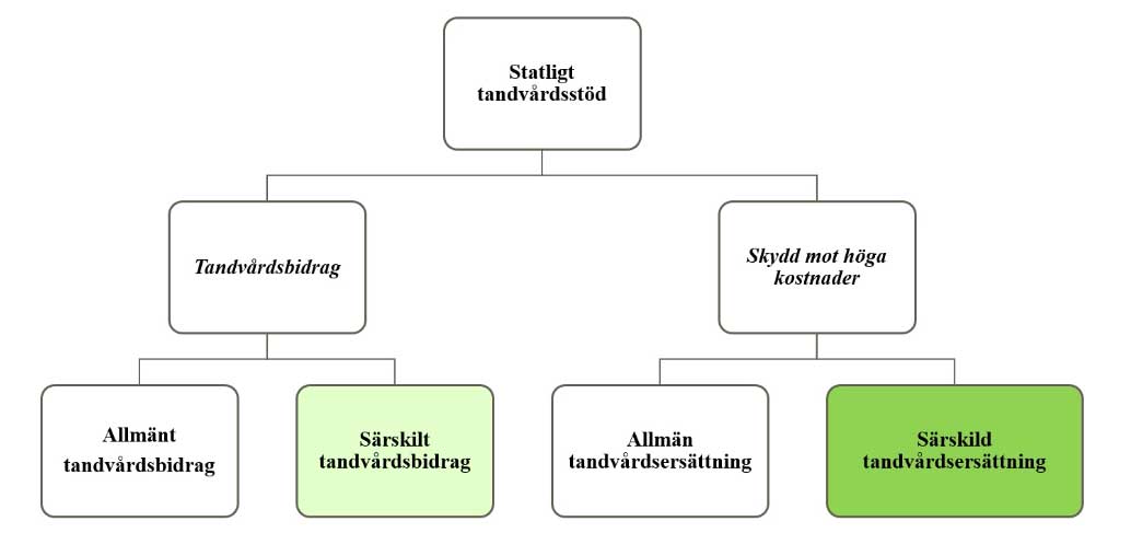 Det särskilda tandvårdsbidraget höjs 1 januari 2026, samtidigt som ett stärkt högkostnadsskydd för äldre införs.
